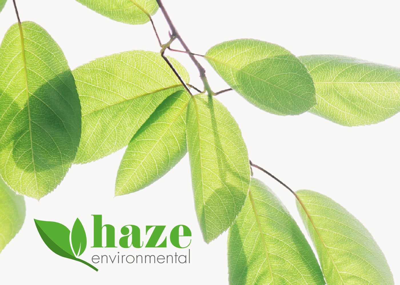 A Rebrand And Brand Guidelines for Haze Environmental - Eighty3 Design Ltd