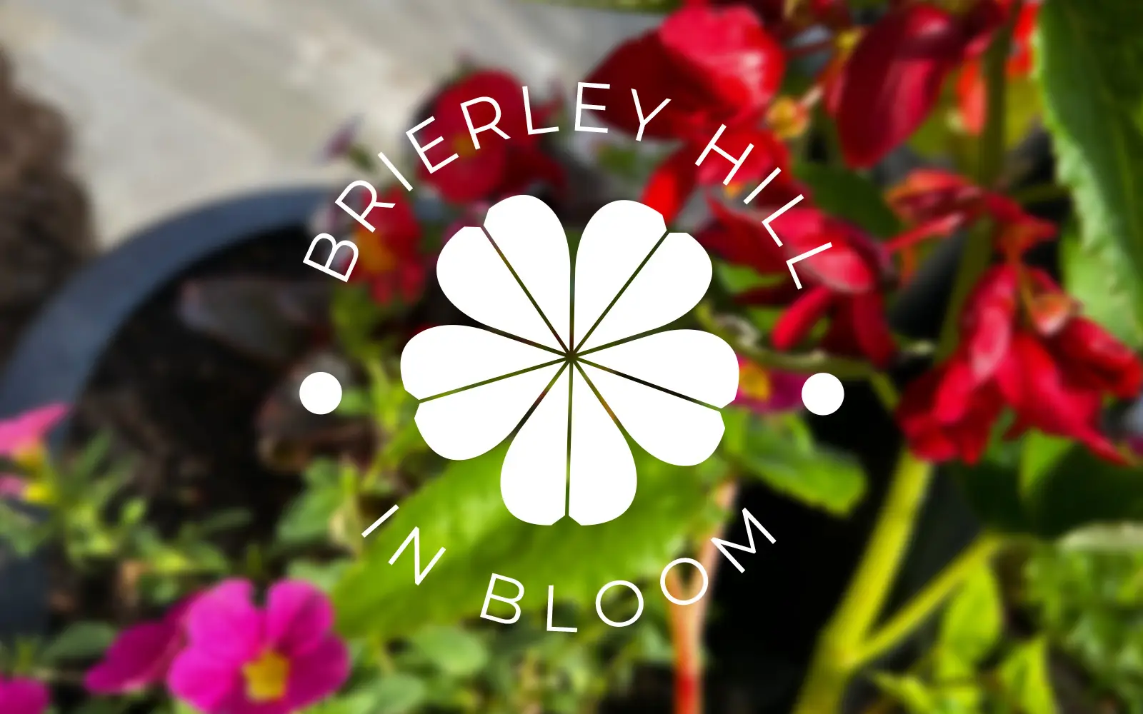 volunteer group logo